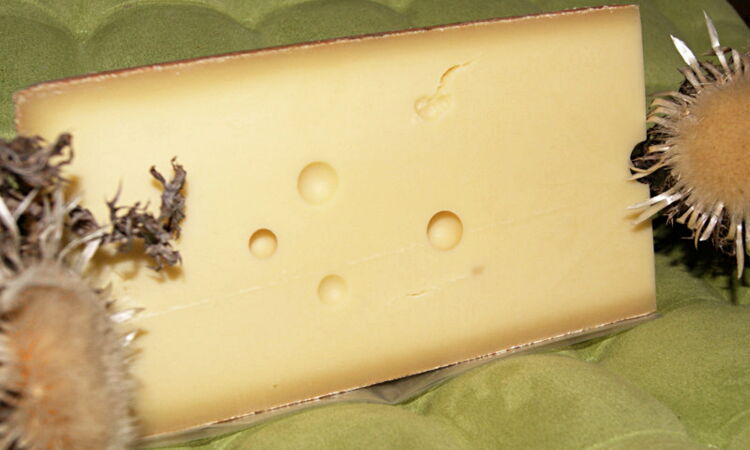 Andelsbucher Bergkäse