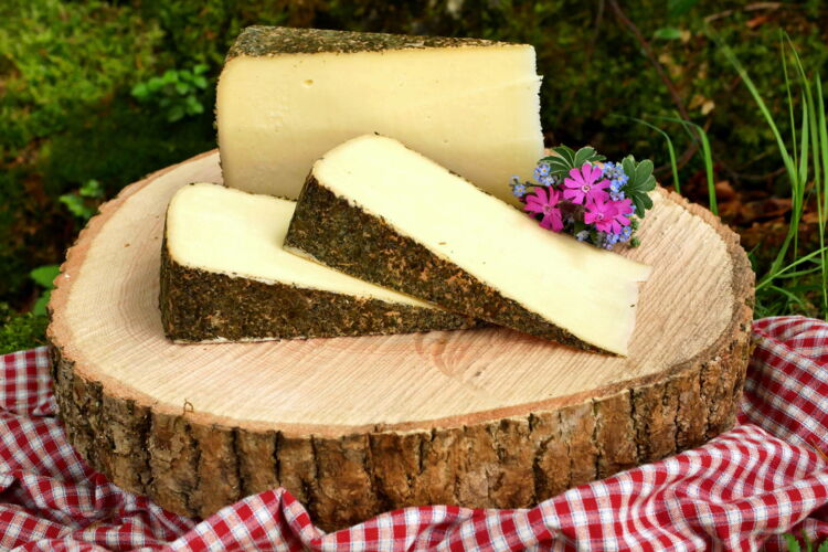 Alpenkräuterkäse mit essbarer Rinde mit feinen Alpenkräutern