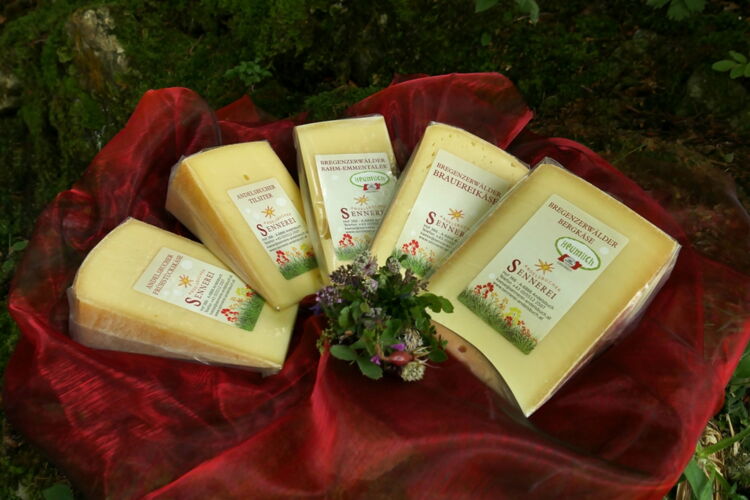 Kennenlernpaket mild