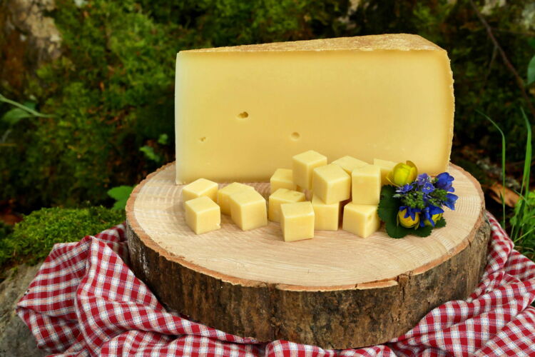 Bergkäse jung